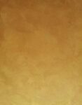 xr:d:DAGAmwx4QkQ:378,j:2910874953663048001,t:24040309