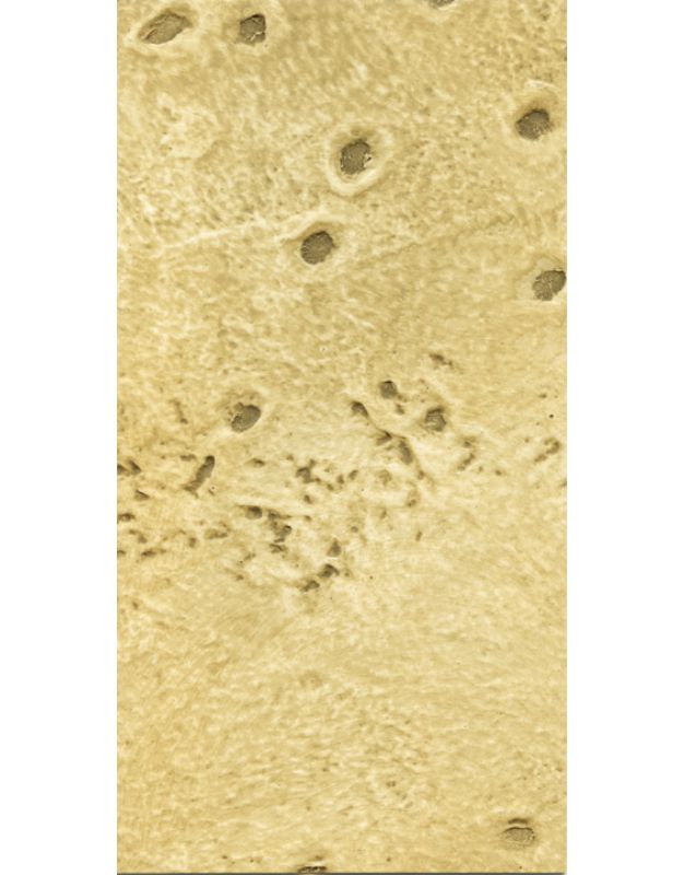 Rilievo5