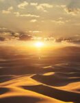 dune-marburg-tapete-32545-01
